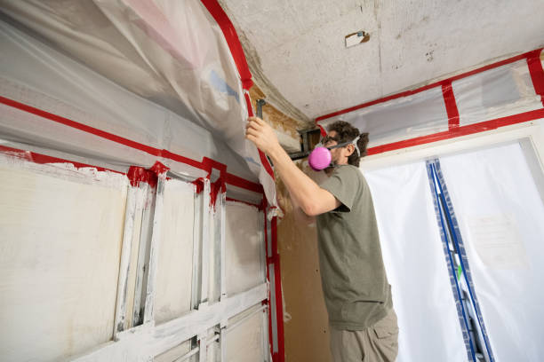 Best Mold Odor Removal Services  in San Ramon, CA